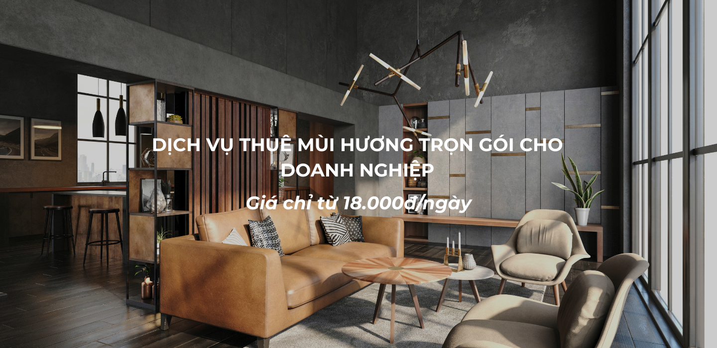 Dịch vụ